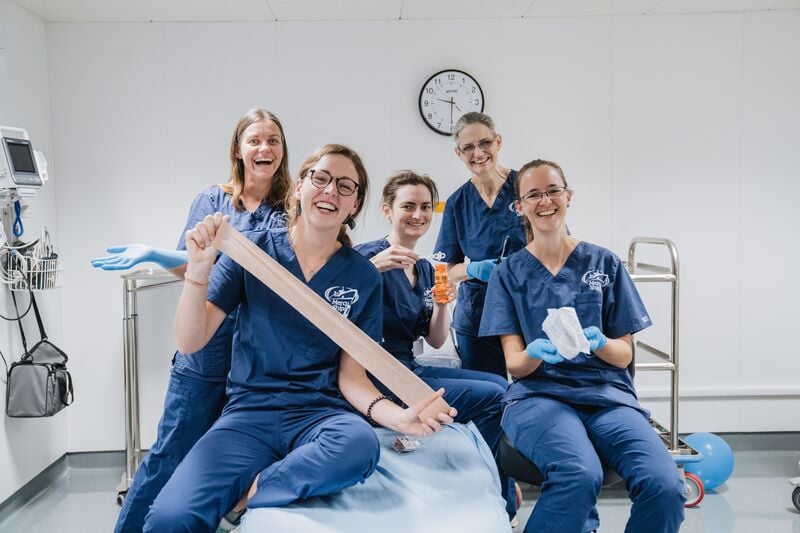 Wound Care Team